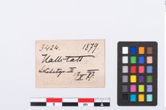 Etikett zu Bronzegürtelhaken (NHMW-PRAE-003424)